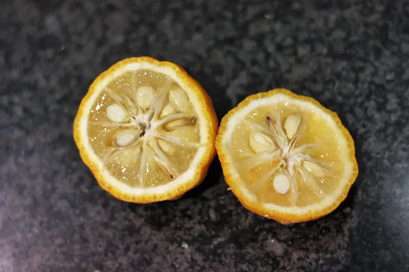 Pieces of Cut Yuzu showing multiple seeds