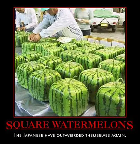 Square Watermelons! Photo by ?who? on www.flickr.com.